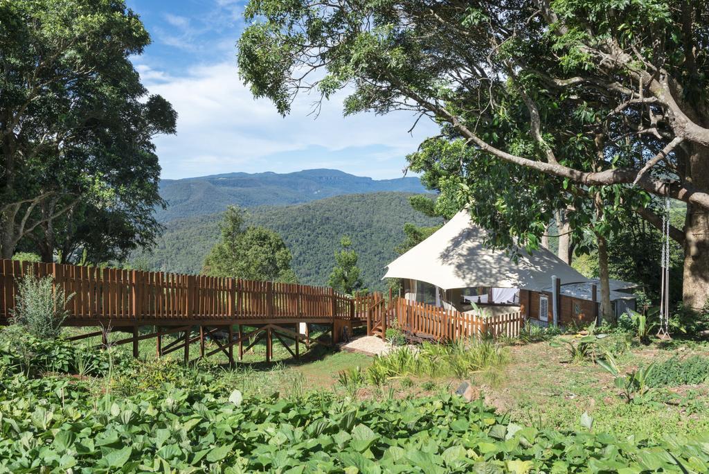Clouds Safari Hotel Beechmont Екстериор снимка